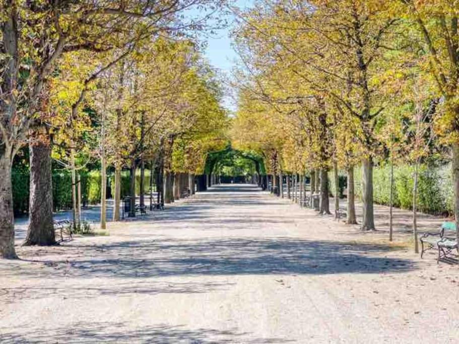Center Apt In Best Area Near Park & Danube 20'to Airport Vienne